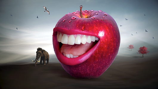 red Apple illustration