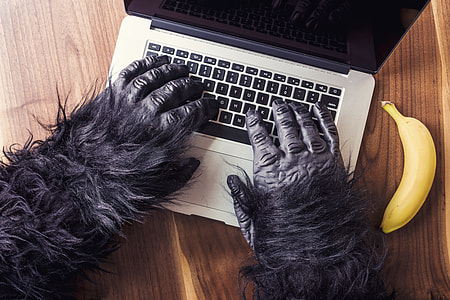 person's wearing gorilla suit using laptop besides yellow banana on top of brown table