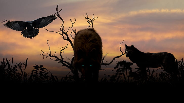 silhouette photography of pack of wolves and flying eagle