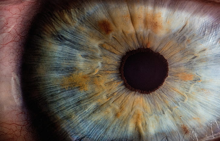 human eye in-close up photography