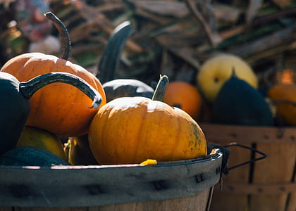 tilt shift photography of pumpkins in basket