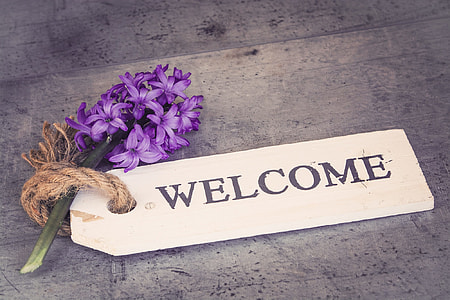 purple hyacinth flower beside welcome signage