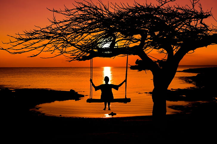 person on swing silhouette