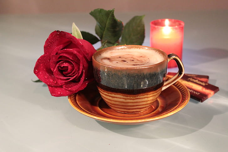 brown ceramic teacup near red rose