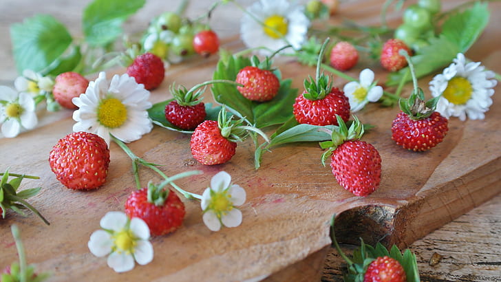 strawberries and white daisy flowers on table