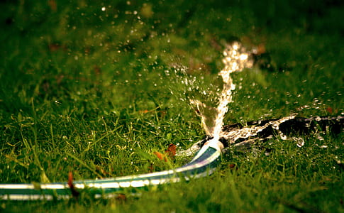Close-Up Photography of Water Bursting Out of Hose