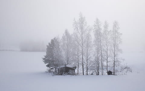 gray wooden house covered with snow at daytime