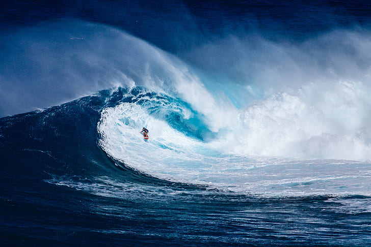 person surfing on sea wave painting