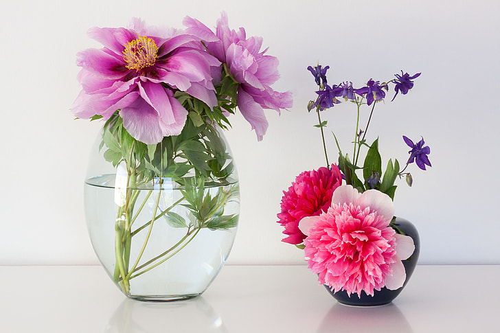 pink and purple petal flowers in vases