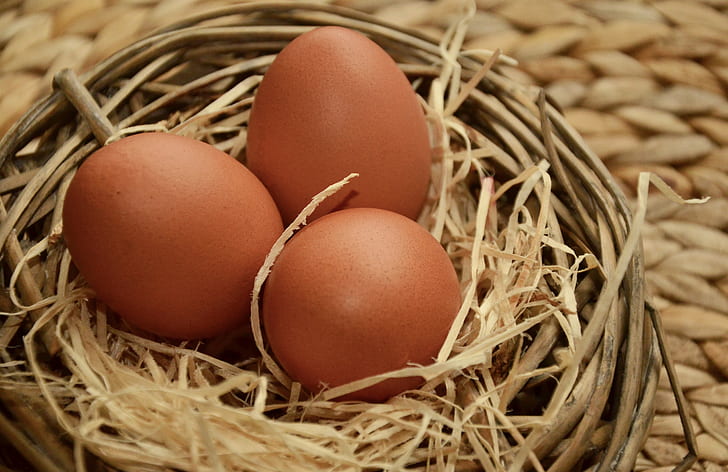three brown eggs on nest