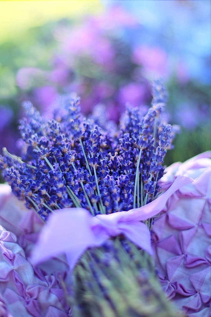 blue lavenders bouquet selective-focus photo