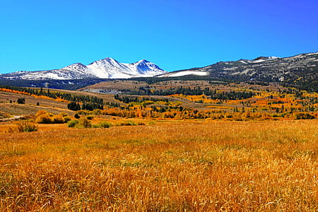 White Snow Mountain Near Grass Field