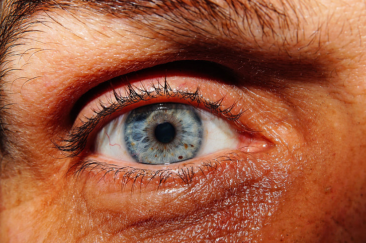 Close-up Shot Of Man's Eye. Man With Blue Eyes. Stock Photo