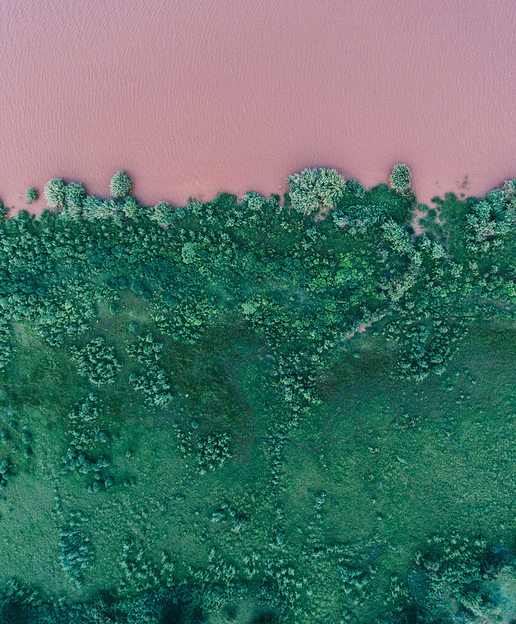 Pink river with green grass bank