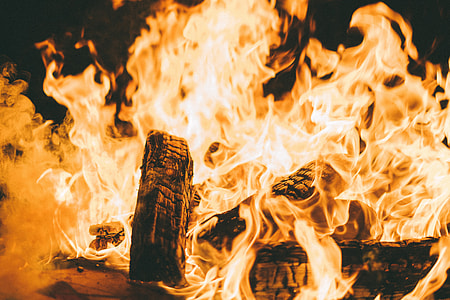 close-up photography of burning coals
