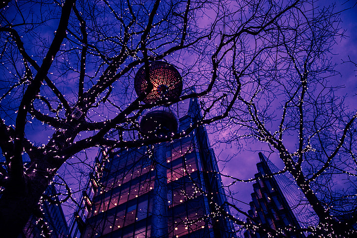 Trees, lights and buildings at night in Central London