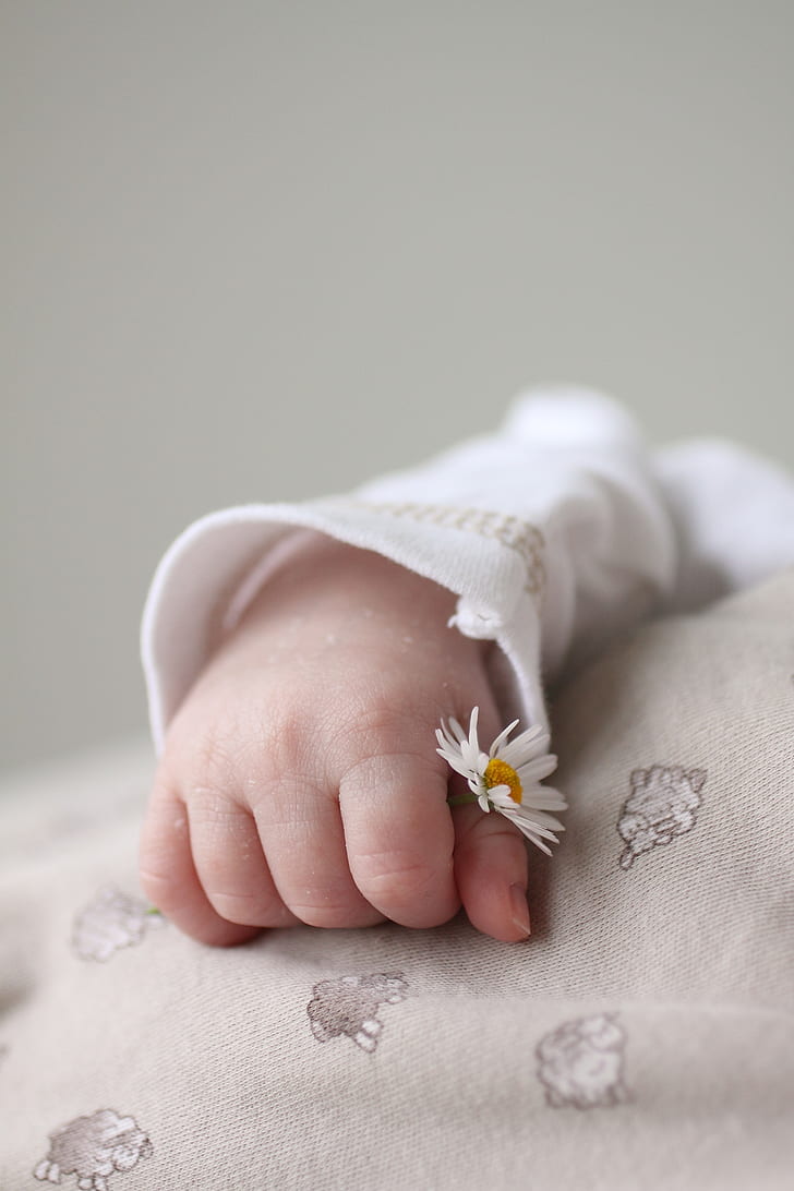 baby holding chamomile flower