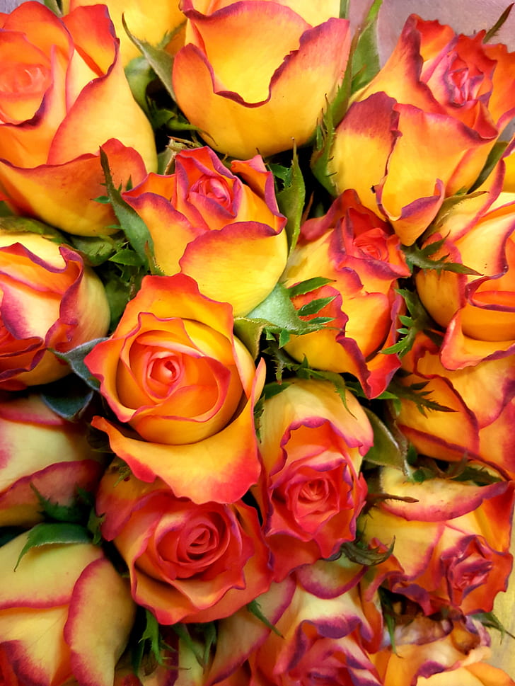 yellow-and-red rose flowers bouquet