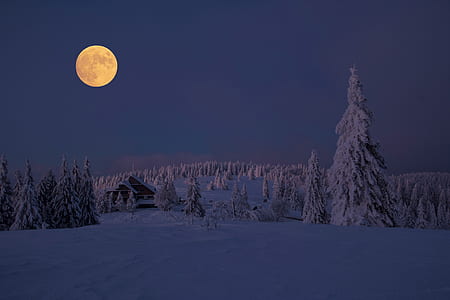 photo of land covered with snow under full moon during nighttime
