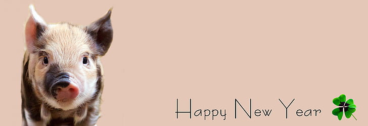 brown and beige piglet with happy new year text overlay