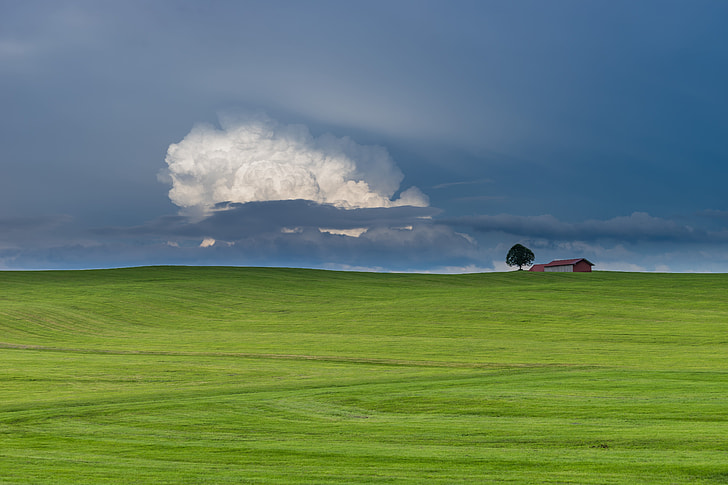 green plain field during daytime