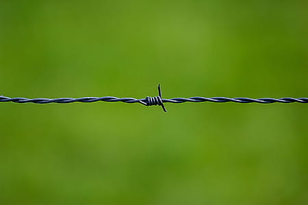 Barbed Wire Near on Green Surface