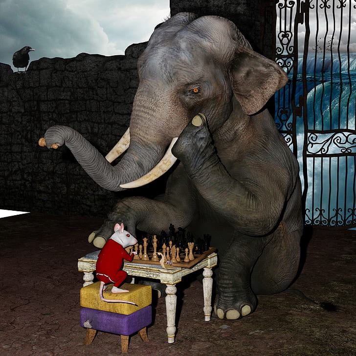 photography of gray elephant playing chess with white mouse