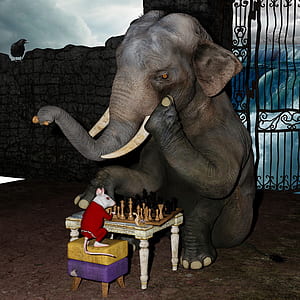 photography of gray elephant playing chess with white mouse