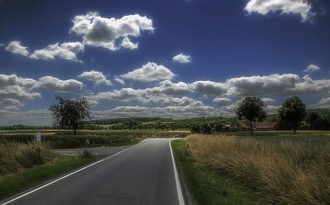 black road between green grass fields