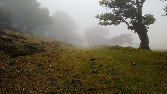 mountain pathway with fogs photography