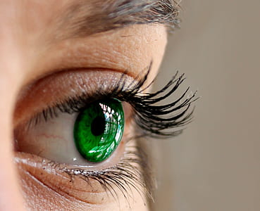 close-up photo of human green eye
