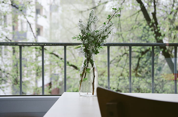 white lilac flowers in clear glass vase on table beside rail near woods