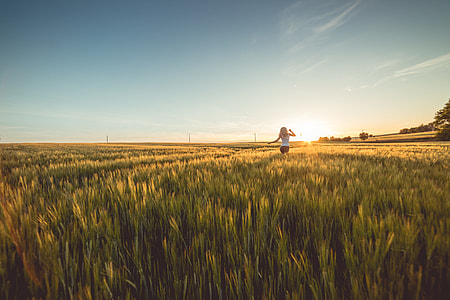 Young Woman Running Through Wheat Field on Sunset