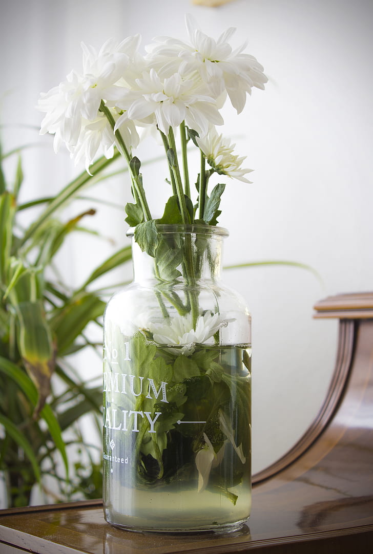 white flowers on clear glass vase filled with clear liquid