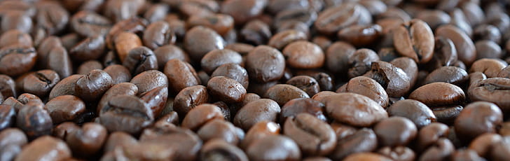 photo of bunch of coffee beans