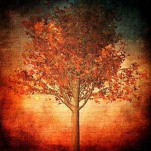 maple tree painting