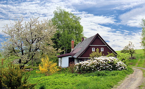 maroon and white wooden house near trees
