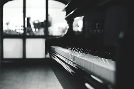 Black Grand Piano Gray Scale Photo