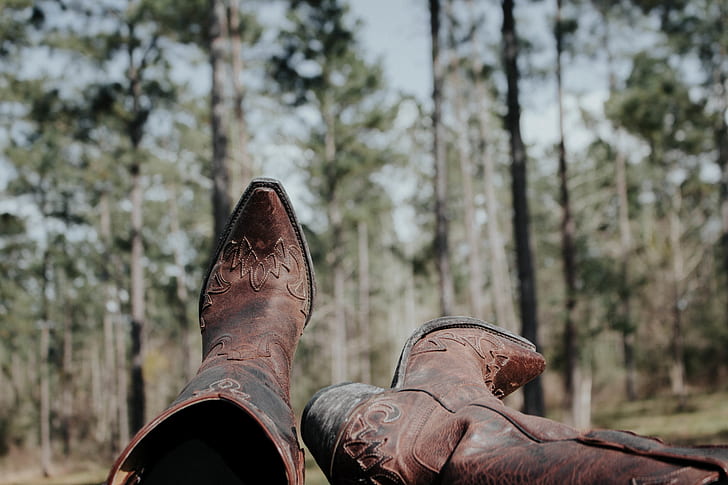 boots, tree, forest, nature, cowboy boots, explore
