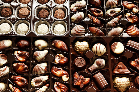 seashell chocolate lot