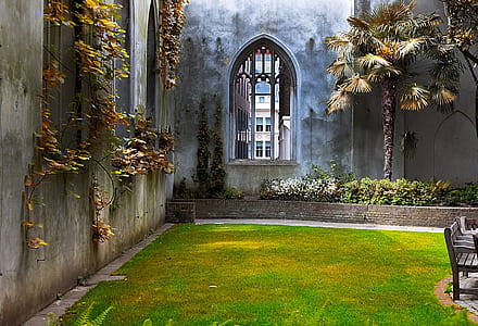 green and yellow lawn beside gray concrete walls with plants at daytime