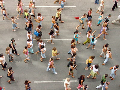 people walking in the road during daytime