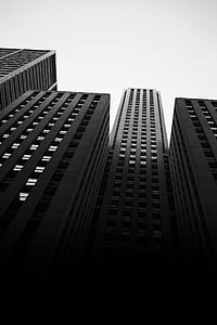 Monochrome Photo of High-rise Buildings