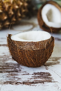 closeup photo of coconut shell