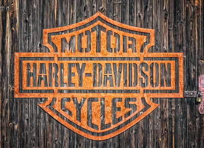 shallow focus of brown Motor Harley-Davidson cycles logo