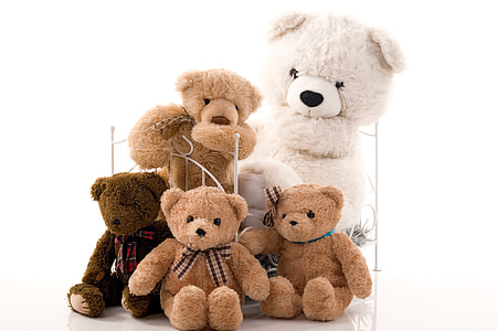 assorted-size white and brown teddy bears