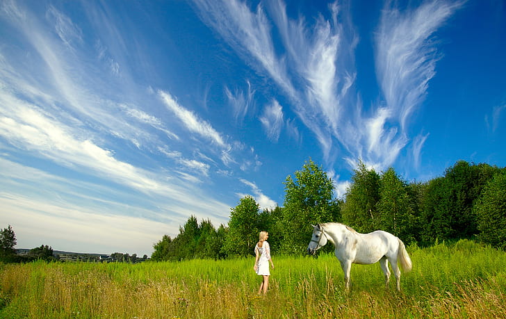 white horse and woman in field