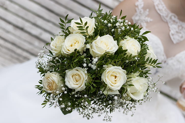 person holding white roses