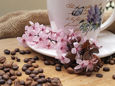 pink flowers near the coffee beans