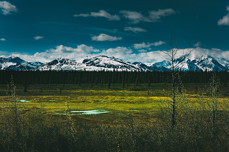 Landscape shot with snow-capped mountains captured at Denali National Park in Alaska